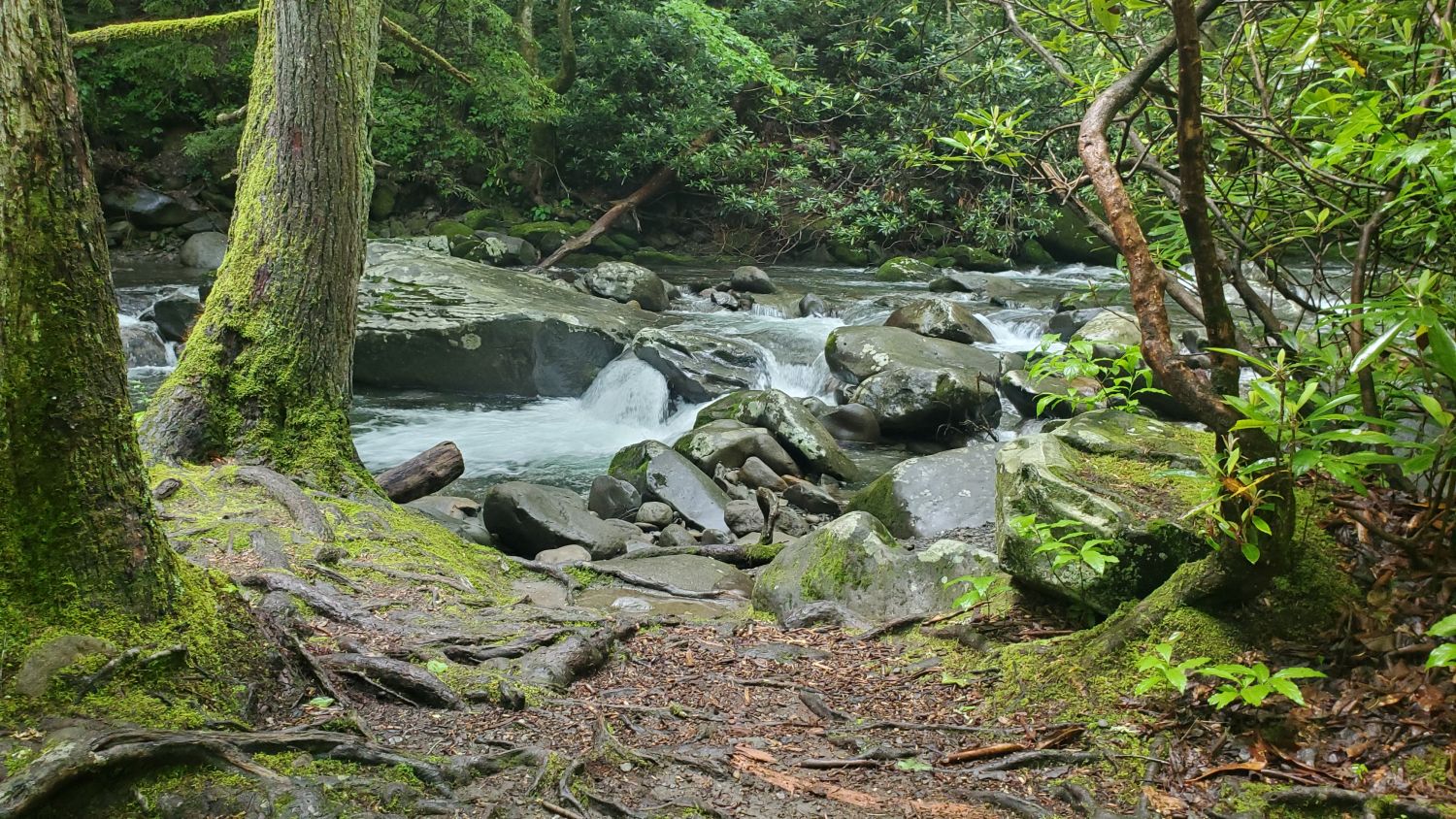 Porters Creek to Fern Falls 